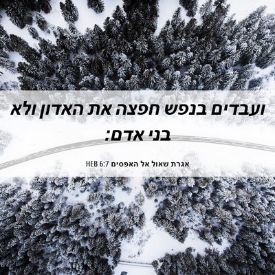 Picture 06 - אגרת שאול אל האפסים 6:7 HEB - ועבדים בנפש חפצה את האדון - Bible Verse Picture
