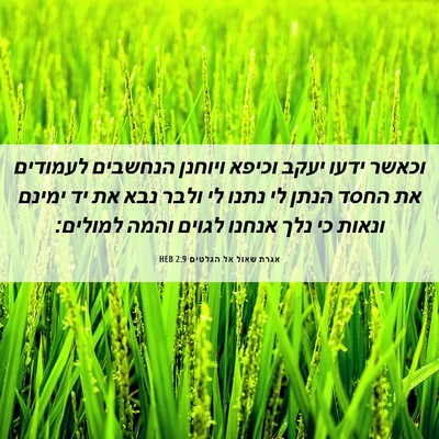 Picture 06 - אגרת שאול אל הגלטים 2:9 HEB - וכאשר ידעו יעקב וכיפא - Bible Verse Picture