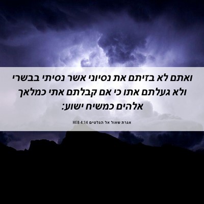 Picture 06 - אגרת שאול אל הגלטים 4:14 HEB - ואתם לא בזיתם את נסיוני אשר - Bible Verse Picture
