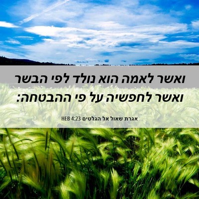 Picture 06 - אגרת שאול אל הגלטים 4:23 HEB - ואשר לאמה הוא נולד לפי הבשר - Bible Verse Picture