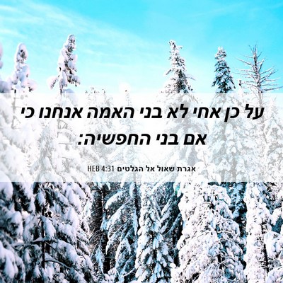 Picture 06 - אגרת שאול אל הגלטים 4:31 HEB - על כן אחי לא בני האמה אנחנו - Bible Verse Picture