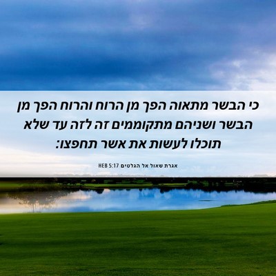 Picture 06 - אגרת שאול אל הגלטים 5:17 HEB - כי הבשר מתאוה הפך מן הרוח - Bible Verse Picture