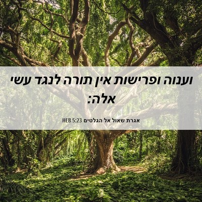 Picture 06 - אגרת שאול אל הגלטים 5:23 HEB - וענוה ופרישות אין תורה - Bible Verse Picture