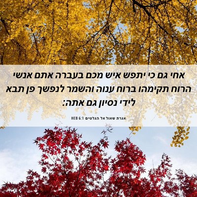 Picture 06 - אגרת שאול אל הגלטים 6:1 HEB - אחי גם כי יתפש איש מכם - Bible Verse Picture