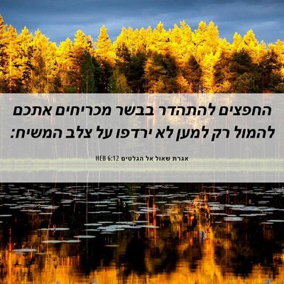 Picture 06 - אגרת שאול אל הגלטים 6:12 HEB - החפצים להתהדר בבשר מכריחים - Bible Verse Picture