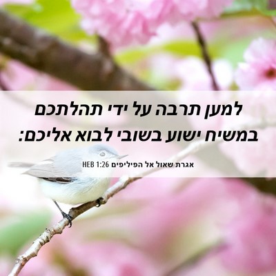 Picture 06 - אגרת שאול אל הפיליפים 1:26 HEB - למען תרבה על ידי תהלתכם - Bible Verse Picture