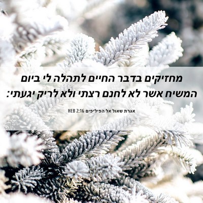 Picture 06 - אגרת שאול אל הפיליפים 2:16 HEB - מחזיקים בדבר החיים לתהלה - Bible Verse Picture