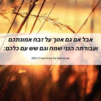 Picture 06 - אגרת שאול אל הפיליפים 2:17 HEB - אבל אם גם אסך על זבח - Bible Verse Picture