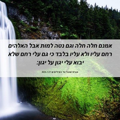 Picture 06 - אגרת שאול אל הפיליפים 2:27 HEB - אמנם חלה חלה וגם נטה למות - Bible Verse Picture