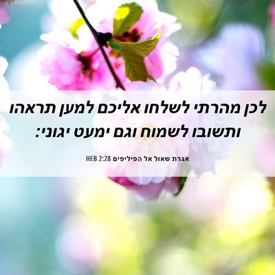 Picture 06 - אגרת שאול אל הפיליפים 2:28 HEB - לכן מהרתי לשלחו אליכם למען - Bible Verse Picture