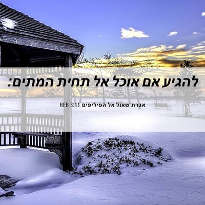 Picture 06 - אגרת שאול אל הפיליפים 3:11 HEB - להגיע אם אוכל אל תחית - Bible Verse Picture