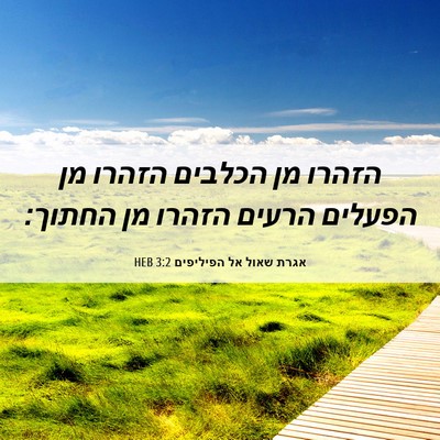 Picture 06 - אגרת שאול אל הפיליפים 3:2 HEB - הזהרו מן הכלבים הזהרו מן - Bible Verse Picture