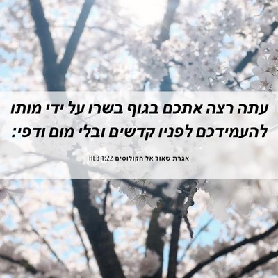 Picture 06 - אגרת שאול אל הקולוסים 1:22 HEB - עתה רצה אתכם בגוף בשרו על - Bible Verse Picture