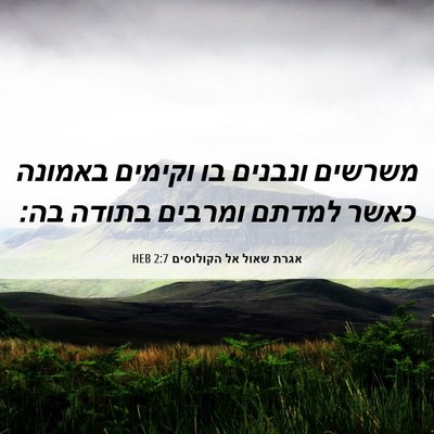 Picture 06 - אגרת שאול אל הקולוסים 2:7 HEB - משרשים ונבנים בו וקימים - Bible Verse Picture