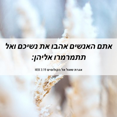 Picture 06 - אגרת שאול אל הקולוסים 3:19 HEB - אתם האנשים אהבו את נשיכם - Bible Verse Picture