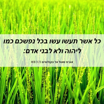 Picture 06 - אגרת שאול אל הקולוסים 3:23 HEB - כל אשר תעשו עשו בכל נפשכם - Bible Verse Picture
