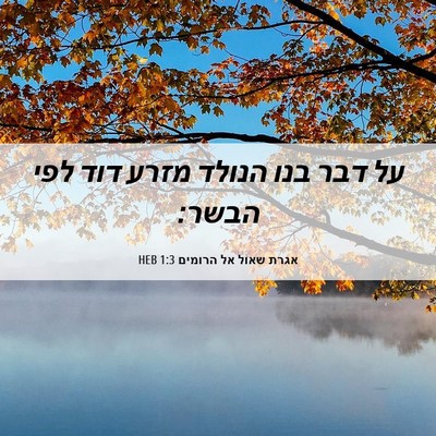 Picture 06 - אגרת שאול אל הרומים 1:3 HEB - על דבר בנו הנולד מזרע דוד - Bible Verse Picture