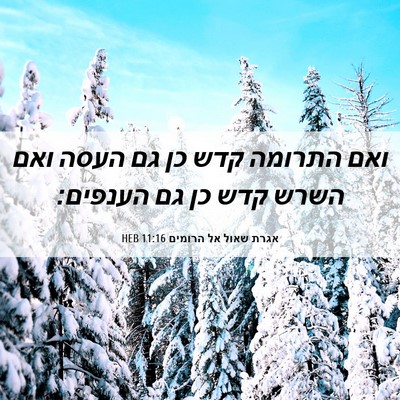 Picture 06 - אגרת שאול אל הרומים 11:16 HEB - ואם התרומה קדש כן גם העסה - Bible Verse Picture