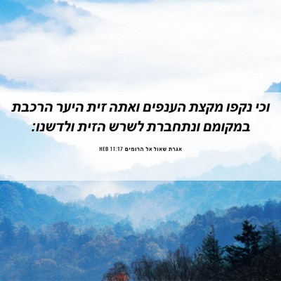 Picture 06 - אגרת שאול אל הרומים 11:17 HEB - וכי נקפו מקצת הענפים ואתה - Bible Verse Picture