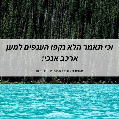 Picture 06 - אגרת שאול אל הרומים 11:19 HEB - וכי תאמר הלא נקפו הענפים - Bible Verse Picture