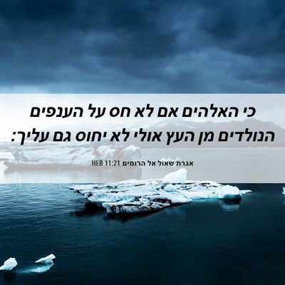 Picture 06 - אגרת שאול אל הרומים 11:21 HEB - כי האלהים אם לא חס על - Bible Verse Picture