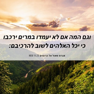Picture 06 - אגרת שאול אל הרומים 11:23 HEB - וגם המה אם לא יעמדו במרים - Bible Verse Picture