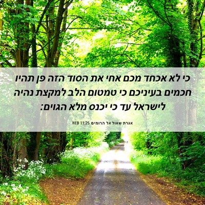 Picture 06 - אגרת שאול אל הרומים 11:25 HEB - כי לא אכחד מכם אחי את הסוד - Bible Verse Picture