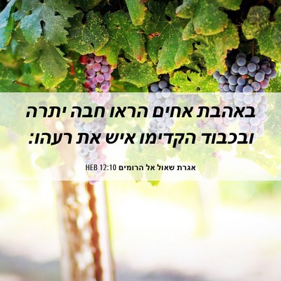 Picture 06 - אגרת שאול אל הרומים 12:10 HEB - באהבת אחים הראו חבה יתרה - Bible Verse Picture