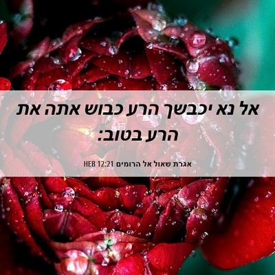 Picture 06 - אגרת שאול אל הרומים 12:21 HEB - אל נא יכבשך הרע כבוש אתה את - Bible Verse Picture