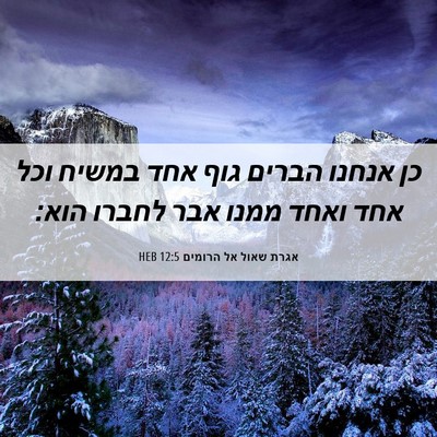Picture 06 - אגרת שאול אל הרומים 12:5 HEB - כן אנחנו הברים גוף אחד - Bible Verse Picture