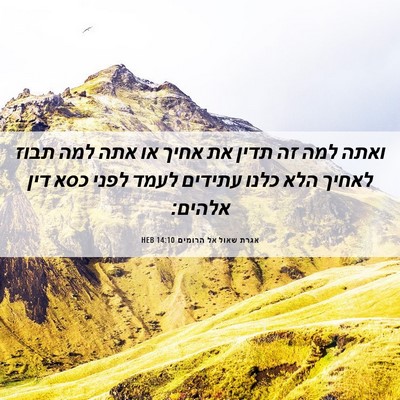 Picture 06 - אגרת שאול אל הרומים 14:10 HEB - ואתה למה זה תדין את אחיך או - Bible Verse Picture