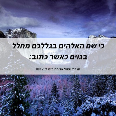 Picture 06 - אגרת שאול אל הרומים 2:24 HEB - כי שם האלהים בגללכם מחלל - Bible Verse Picture