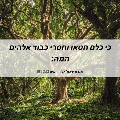 Picture 06 - אגרת שאול אל הרומים 3:23 HEB - כי כלם חטאו וחסרי כבוד - Bible Verse Picture