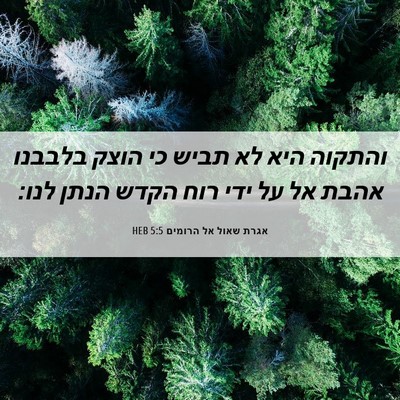 Picture 06 - אגרת שאול אל הרומים 5:5 HEB - והתקוה היא לא תביש כי הוצק - Bible Verse Picture