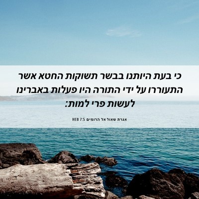 Picture 06 - אגרת שאול אל הרומים 7:5 HEB - כי בעת היותנו בבשר תשוקות - Bible Verse Picture