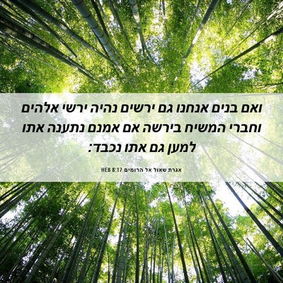 Picture 06 - אגרת שאול אל הרומים 8:17 HEB - ואם בנים אנחנו גם ירשים - Bible Verse Picture