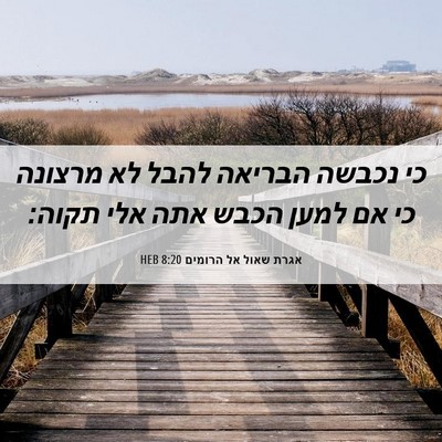 Picture 06 - אגרת שאול אל הרומים 8:20 HEB - כי נכבשה הבריאה להבל לא - Bible Verse Picture