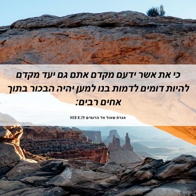 Picture 06 - אגרת שאול אל הרומים 8:29 HEB - כי את אשר ידעם מקדם אתם גם - Bible Verse Picture