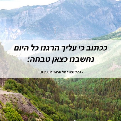 Picture 06 - אגרת שאול אל הרומים 8:36 HEB - ככתוב כי עליך הרגנו כל היום - Bible Verse Picture