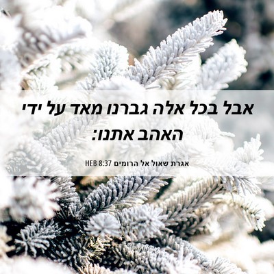Picture 06 - אגרת שאול אל הרומים 8:37 HEB - אבל בכל אלה גברנו מאד על - Bible Verse Picture