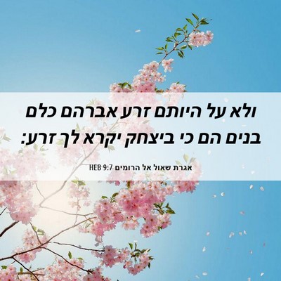 Picture 06 - אגרת שאול אל הרומים 9:7 HEB - ולא על היותם זרע אברהם כלם - Bible Verse Picture