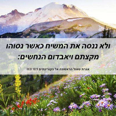 Picture 06 - אגרת שאול הראשונה אל הקורינתים 10:9 HEB - ולא ננסה את המשיח כאשר - Bible Verse Picture