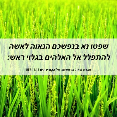 Picture 06 - אגרת שאול הראשונה אל הקורינתים 11:13 HEB - שפטו נא בנפשכם הנאוה לאשה - Bible Verse Picture