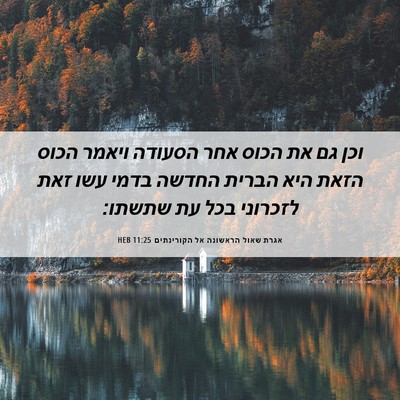 Picture 06 - אגרת שאול הראשונה אל הקורינתים 11:25 HEB - וכן גם את הכוס אחר הסעודה - Bible Verse Picture