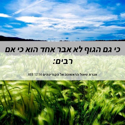 Picture 06 - אגרת שאול הראשונה אל הקורינתים 12:14 HEB - כי גם הגוף לא אבר אחד הוא כי - Bible Verse Picture