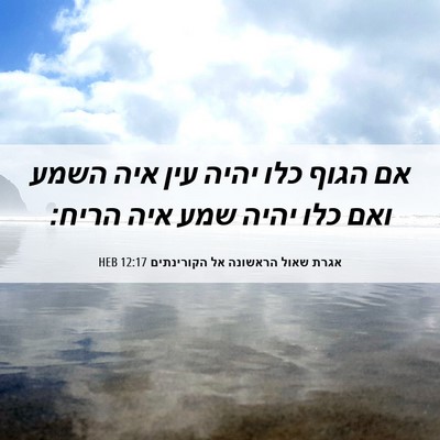 Picture 06 - אגרת שאול הראשונה אל הקורינתים 12:17 HEB - אם הגוף כלו יהיה עין איה - Bible Verse Picture