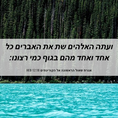 Picture 06 - אגרת שאול הראשונה אל הקורינתים 12:18 HEB - ועתה האלהים שת את האברים כל - Bible Verse Picture
