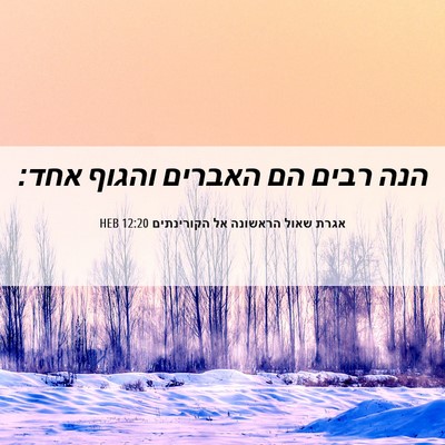 Picture 06 - אגרת שאול הראשונה אל הקורינתים 12:20 HEB - הנה רבים הם האברים והגוף - Bible Verse Picture