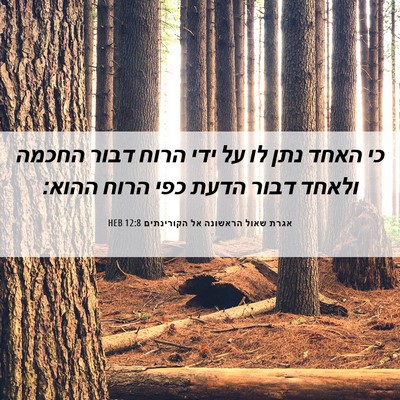 Picture 06 - אגרת שאול הראשונה אל הקורינתים 12:8 HEB - כי האחד נתן לו על ידי הרוח - Bible Verse Picture