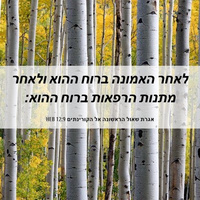 Picture 06 - אגרת שאול הראשונה אל הקורינתים 12:9 HEB - לאחר האמונה ברוח ההוא - Bible Verse Picture